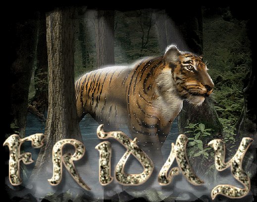 TigerLawUK photo