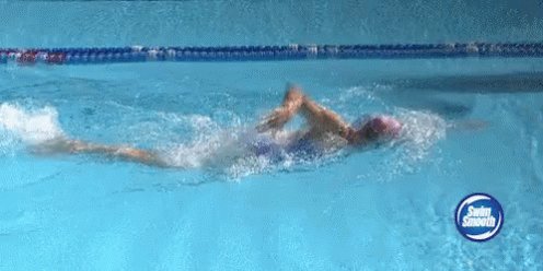 Swimming Sports GIF