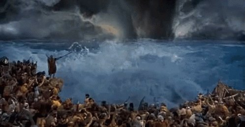 Red Sea GIF