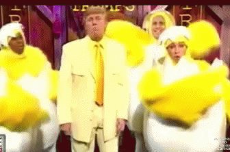 Trump Chicken GIF