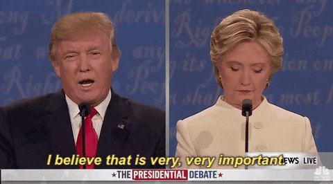 important donald trump GIF by Election 2016