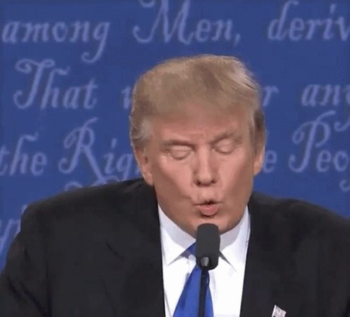 Wrong Donald Trump GIF