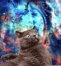 宇宙猫のtwitterイラスト検索結果 古い順