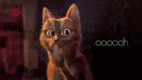 Gato Ohh GIF