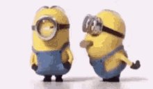 Silly Laughing At You GIF