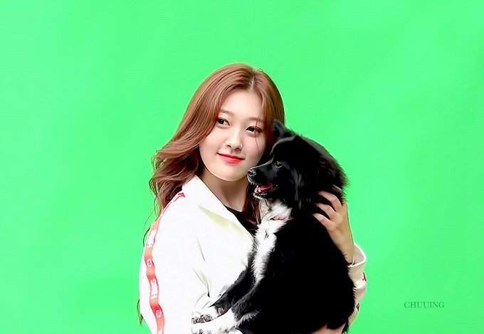 Loonaのtwitterイラスト検索結果