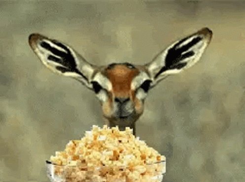 Eating Popcorn Pocorn GIF