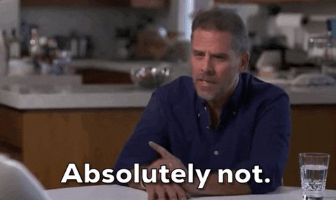 Hunter Biden GIF