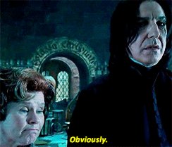 Obviously GIF