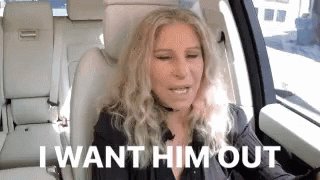 Barbra Streisand GIF