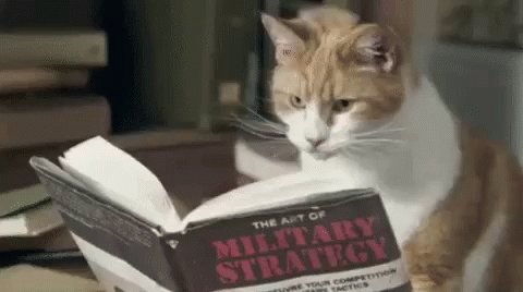 Cat Reading GIF