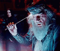 Dumbledore Albus Percival Wulfric Brian Dumbledore GIF