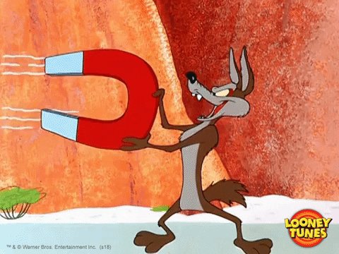 Wile E Coyote with a giant ...