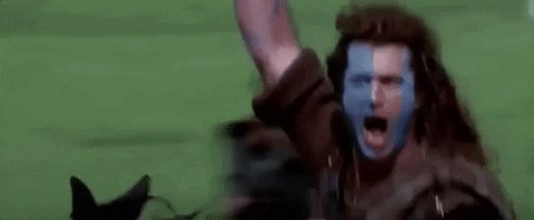 Freedom Braveheart GIF by David