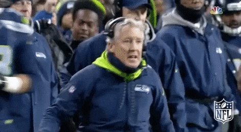 seattle seahawks GIF by NFL