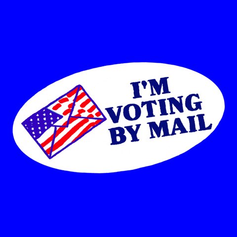 Register To Vote Election 2020 GIF by #GoVote