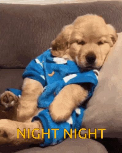 Good Night Night Night GIF