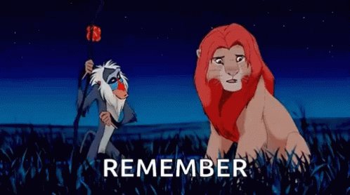 Remember GIF by memecandy