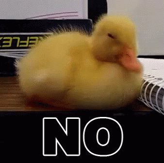 Gif of a duckling shaking i...