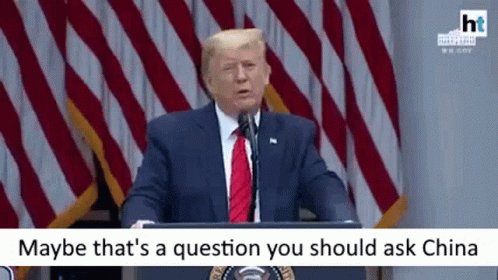 Donald Trump Ask China GIF
