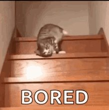 Bored Boring GIF