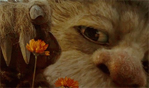 Happy birthday spike jonze thank u for making my comfort film I would b so so sad w out it 