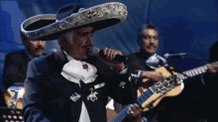 Vicentefernandez Chente GIF