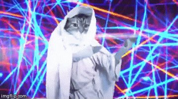 happy birthday cat dancing GIF
