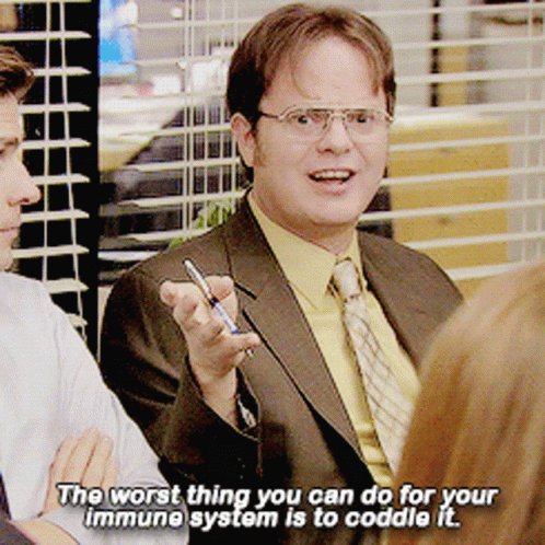 Dwight Schrute The Office GIF