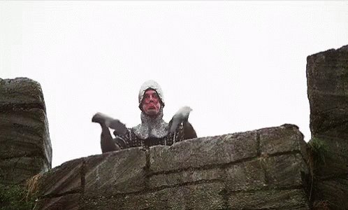 Monty Python GIF