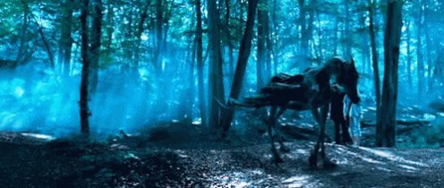 Harrypotter Movie GIF