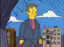 The Simpsons Skinner GIF