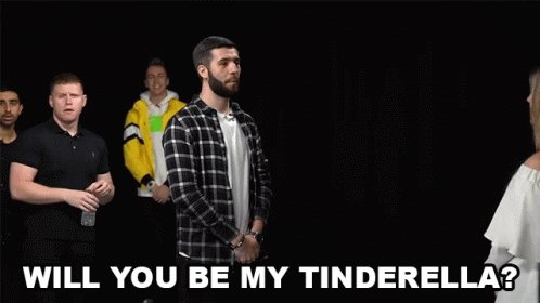 Will You Be My Tinderella Tinder User GIF