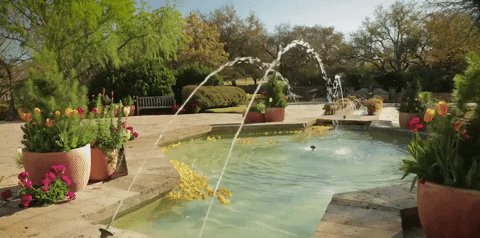 san antonio texas GIF