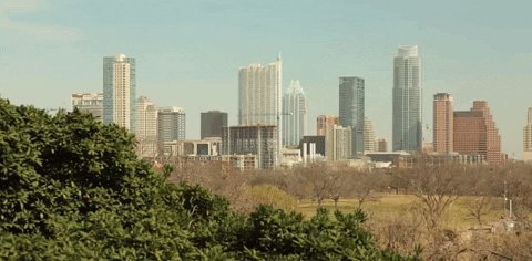 texas austin GIF