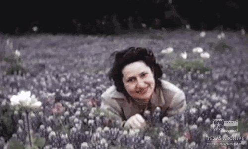 home movie flower GIF by Te...