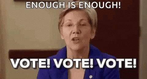 Elizabeth Warren Vote GIF