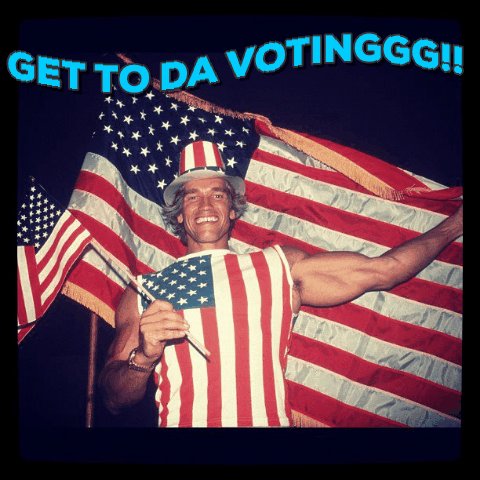 Voting Arnold Schwarzenegge...