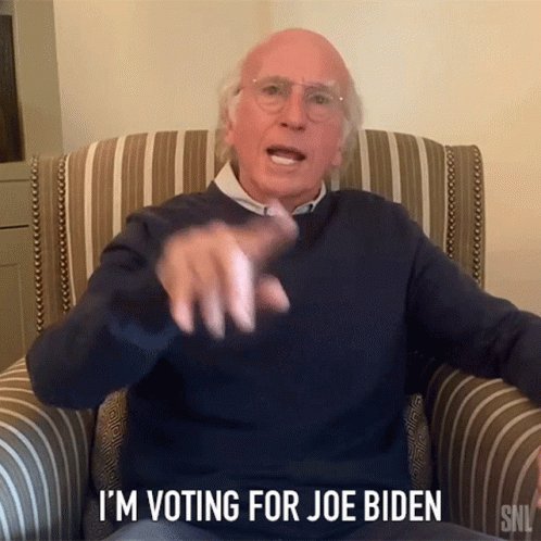 Im Voting For Joe Biden Ber...