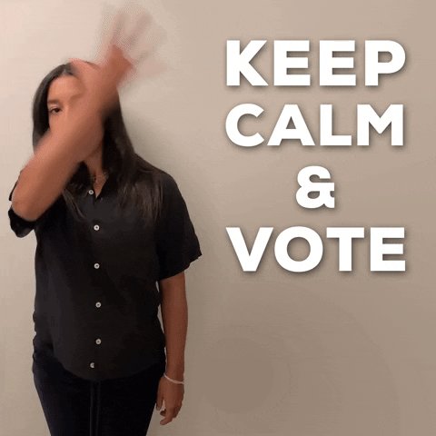 Election 2020 Vote GIF by H...