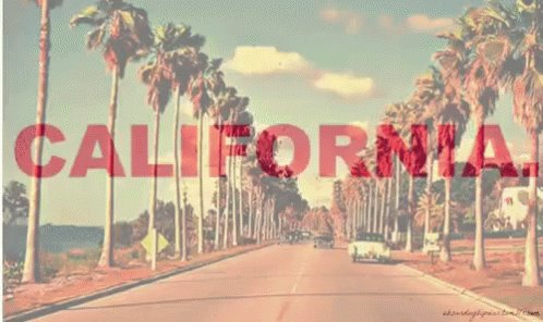 California Flashes Before Your Eyes GIF