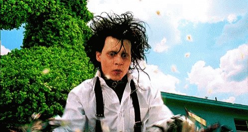 Edward Scissorhands GIF