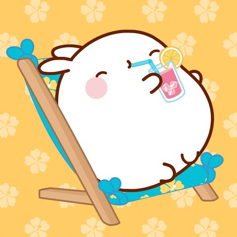 Happy Summer GIF by Molang