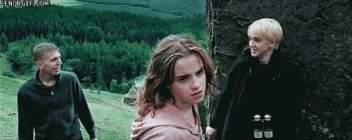 Harry Potter Hermione GIF