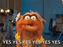 Animal Muppets GIF