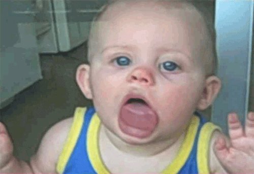 baby licking GIF by America's Funniest Home Videos