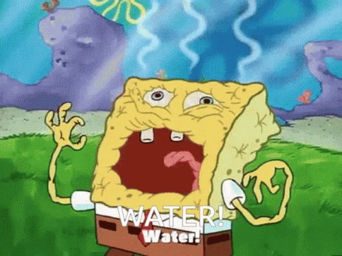 Summer Water Spongebob Squa...