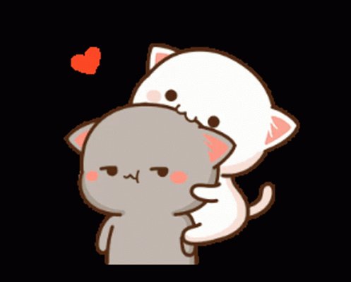 Peach Cat Annoying GIF