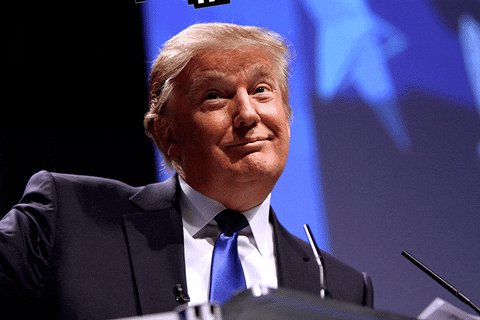 donald trump deal with it GIF