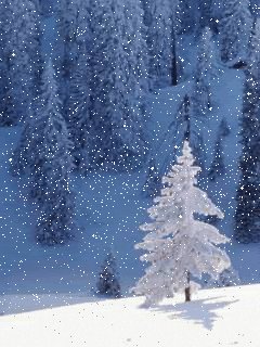 christmas tree snow GIF